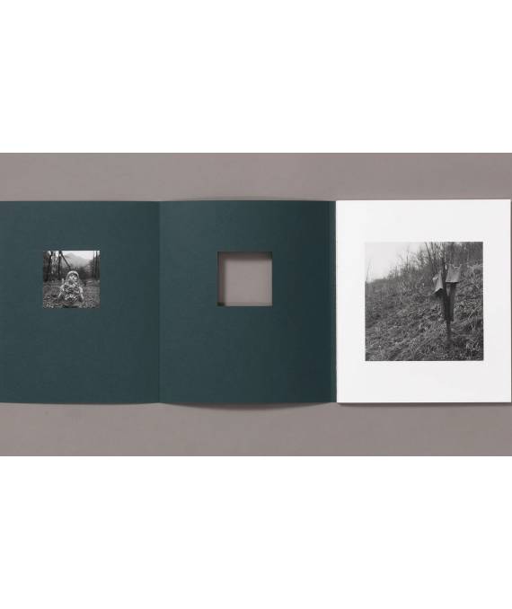 Anne Rearick . You Will Look To The Mountains, photobook published by ...