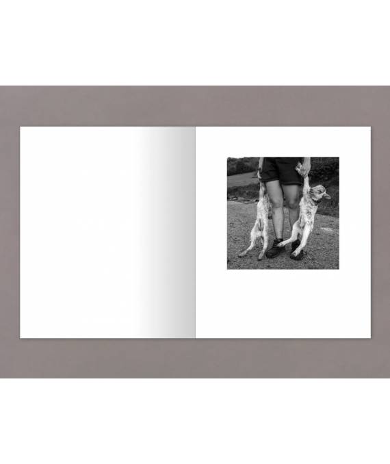 Gure Bazterrak (Our Land) . Anne Rearick, fotolibro publicado por ...